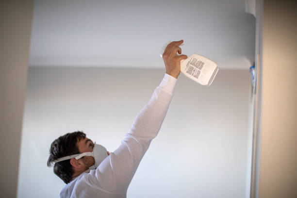 Best Office Mold Removal Services  in Phillipsburg, GA